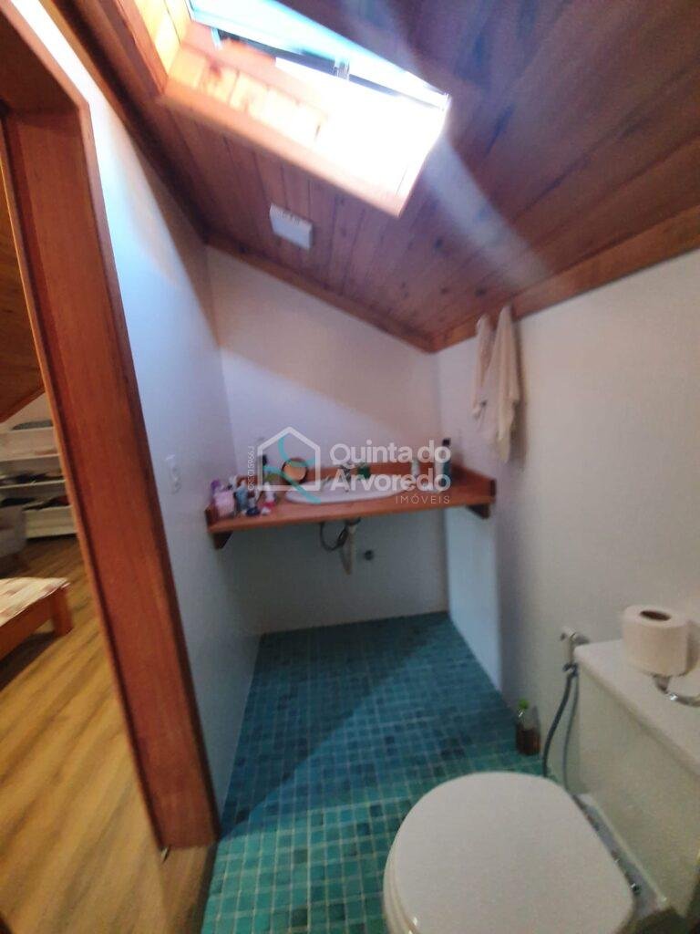 D42a44fc ccd8 4cfe a446 c5c3a7bb576a