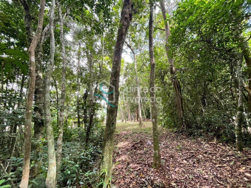 4fb56fc7 e066 4734 93f4 02c69a7c978f