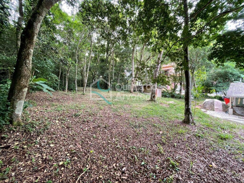 86b95b8d 25ea 4d18 8ebb e6e28992909f