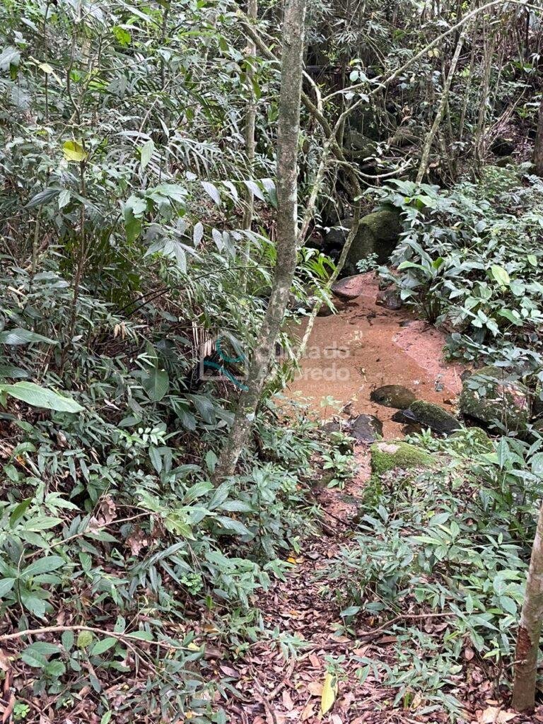 8c8d1b8f 2250 420d b2c3 3d2f4f7da1ca