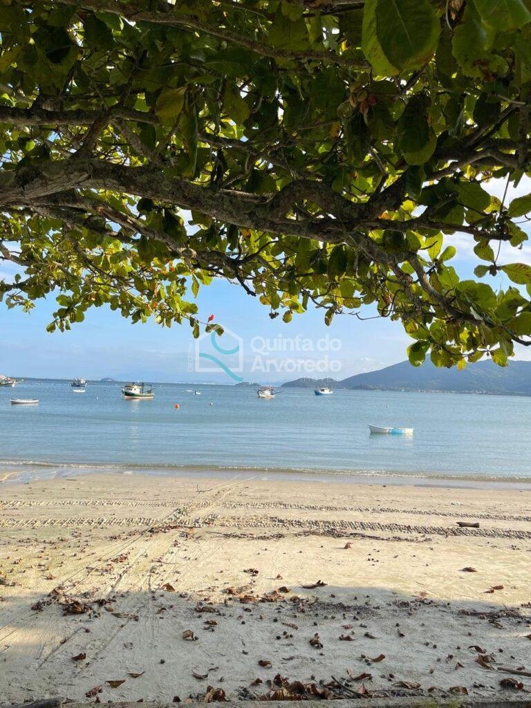 476c8d07 f771 4991 a8e9 4b093813e89c